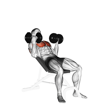dumbbell incline palm in press