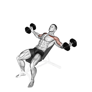 dumbbell incline twisted flyes