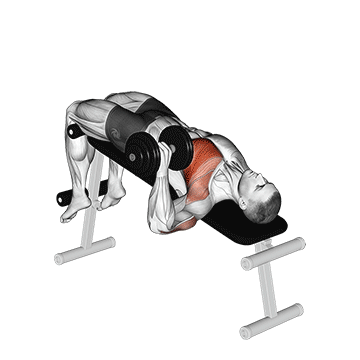 dumbbell one arm decline chest press