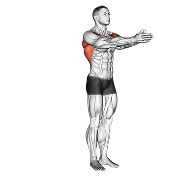 dynamic chest stretch male