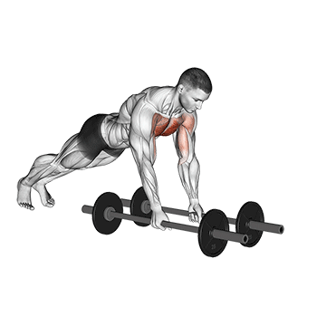 floor fly with barbell