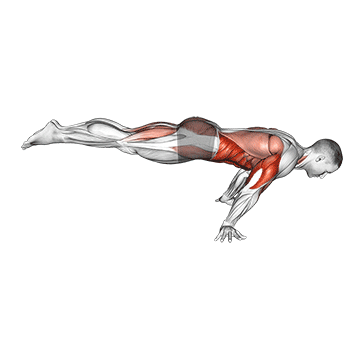 full planche push up