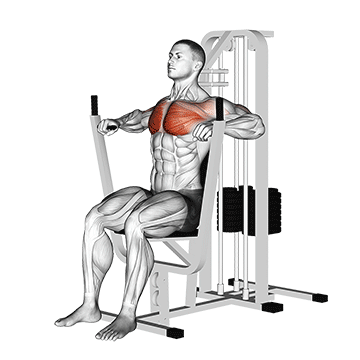 lever chest press 0577