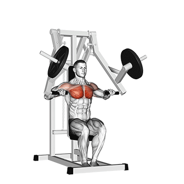 chest press machine