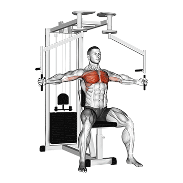 pec deck fly