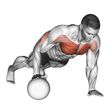 push up medicine ball