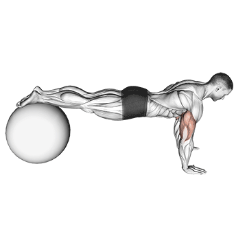 push up on stability ball 0656