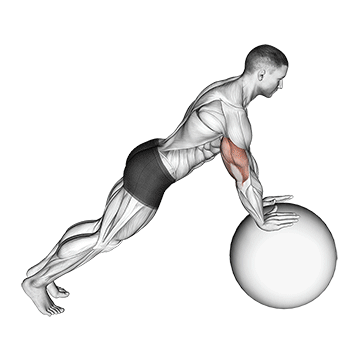 push up on stability ball