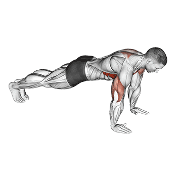 push up plus