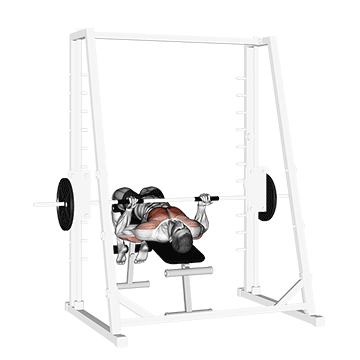 smith decline reverse grip press