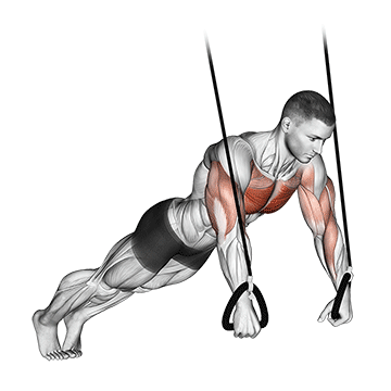suspended push up
