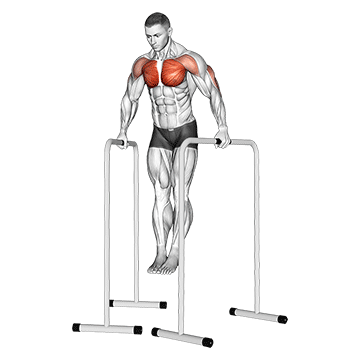 wide grip chest dip on high parallel bars