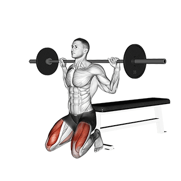 barbell squat on knees