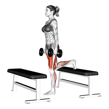 dumbbell step up lunge