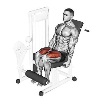 leg extension machine