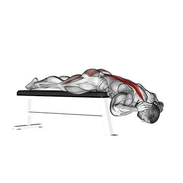 hyperextension on bench