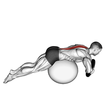 weighted hyperextension on stability ball