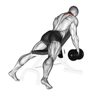 dumbbell decline shrug v2