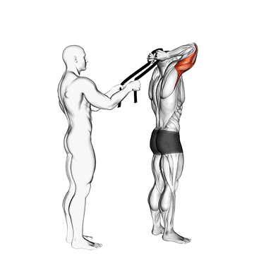 assisted standing triceps extension with towel