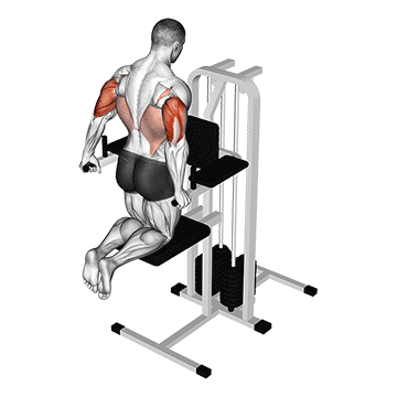 assisted triceps dip kneeling