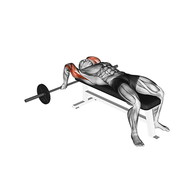 barbell lying close grip triceps extension