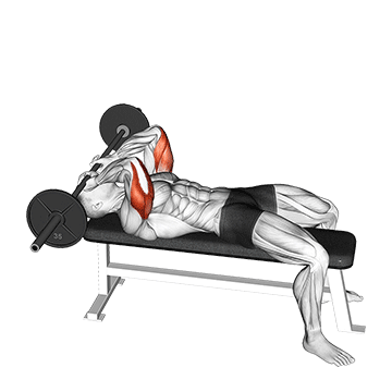ez bar skull crusher