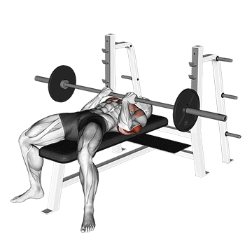 barbell reverse close grip bench press