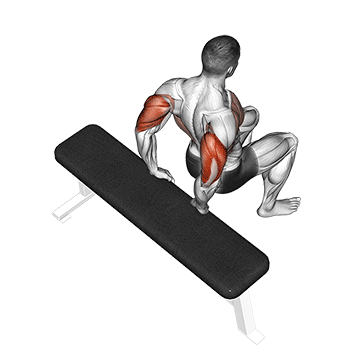 bench dip knees bent