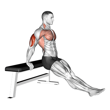 bench dips