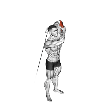 cable alternate triceps extension