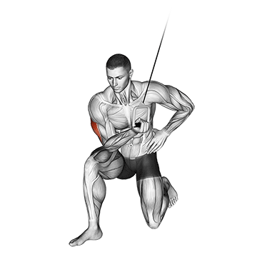 cable concentration extension on knee
