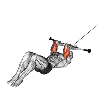 cable lying triceps extension v2