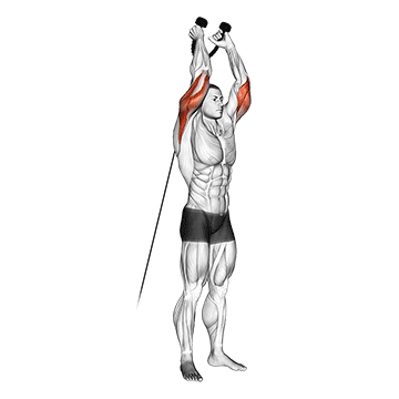 cable overhead tricep extension