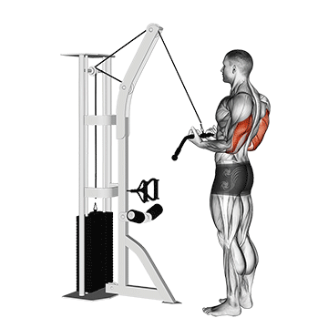 cable reverse grip pushdown