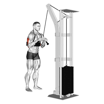 cable triceps pushdown v bar with arm blaster