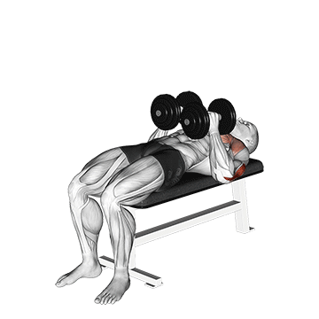 dumbbell close grip press 1731