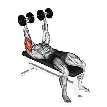 dumbbell lying extension across face