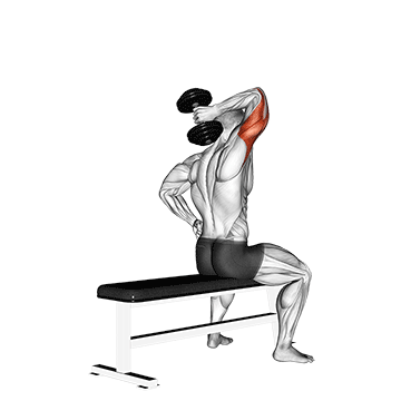 dumbbell one arm triceps extension on bench