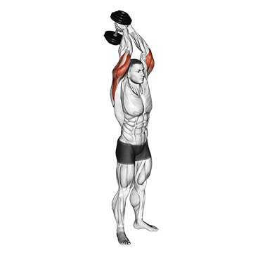 overhead dumbbell extension