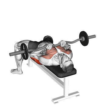 ez bar close grip bench press