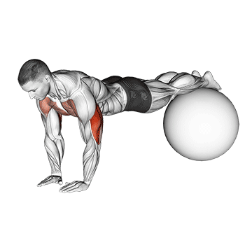 narrow push up on exercise ball