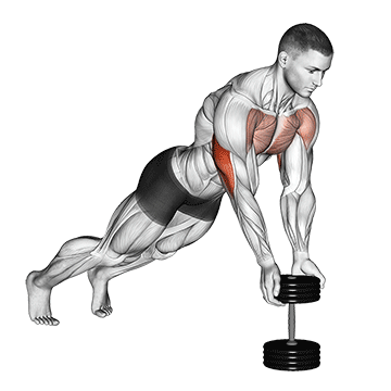 push up close grip off dumbbell