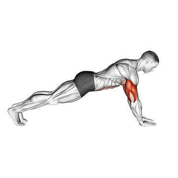 push up on lower arms
