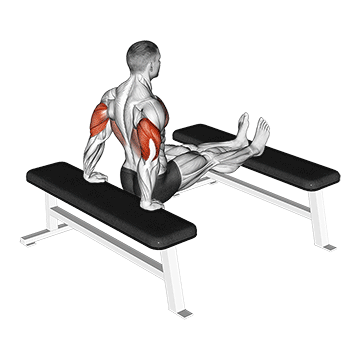 triceps dip bench leg