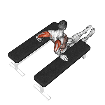 triceps dip between benches