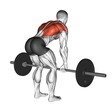 barbell bent-over row