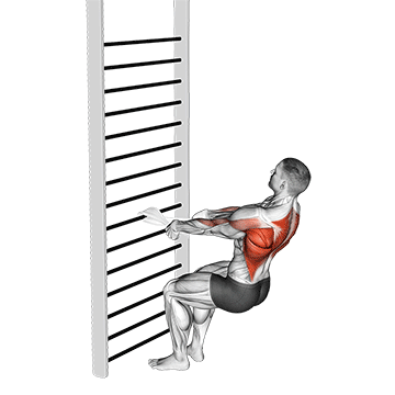 bodyweight squatting row with towel