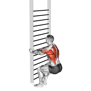 bodyweight squatting row