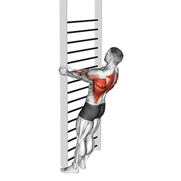 bodyweight standing close grip row