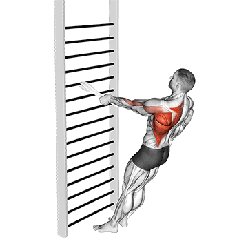 bodyweight standing one arm row with towel